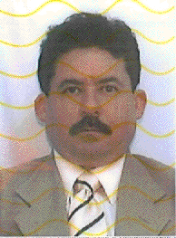Bitmap Image